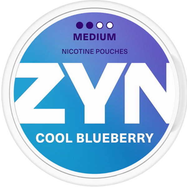 ZYN Cool Blueberry 6mg