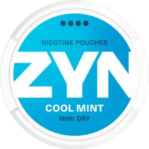 ZYN Cool Mint 6mg